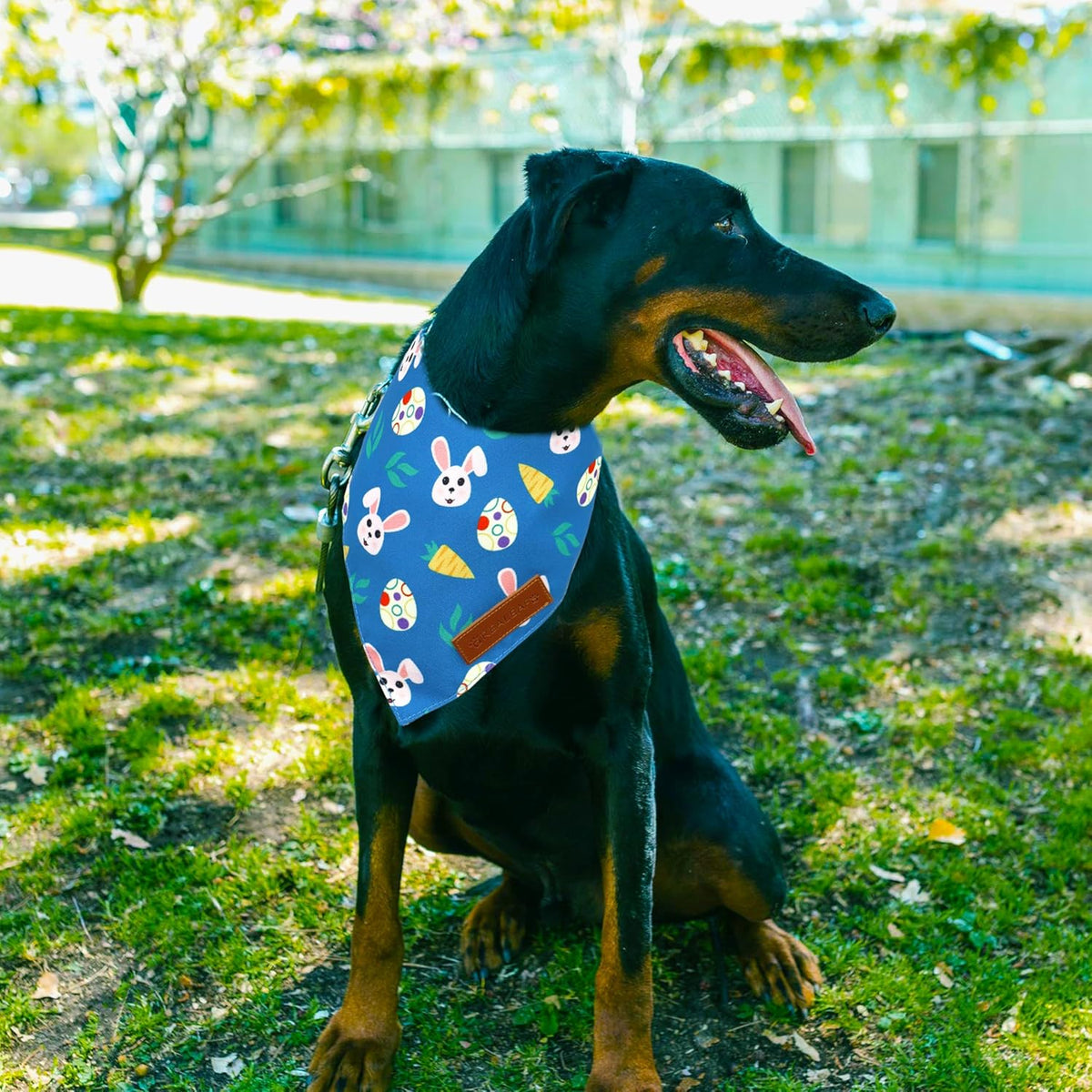 Realeaf Easter Dog Bandanas 2 Pack, Reversible Bunny Carrot and Easter Eggs Pet Scarf for Boy and