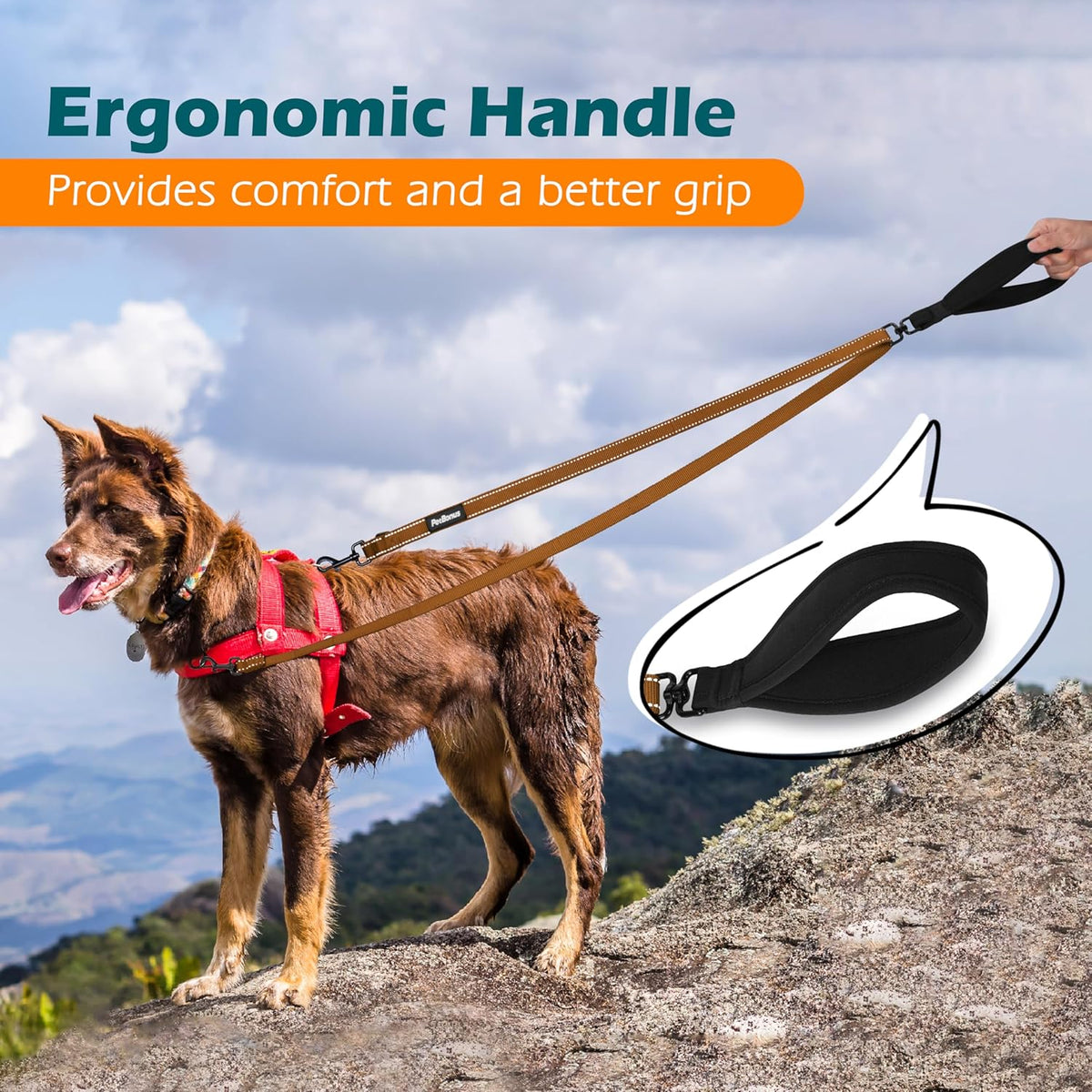 PetBonus Two Point Control Dog Leash, Works with No Pull Harnesses, No Tangle Dog Training Leashes