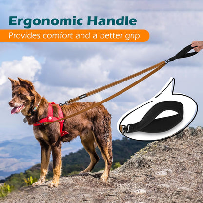 PetBonus Two Point Control Dog Leash, Works with No Pull Harnesses, No Tangle Dog Training Leashes