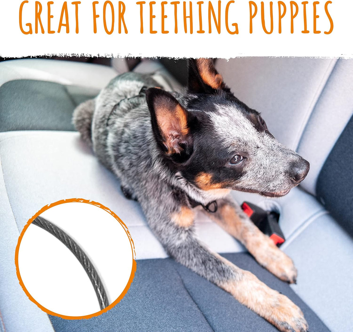 Mighty Paw Dog Seat Belt Vehicle - Chew-Proof Dog Belt - Great for Teething Puppies - Latch Bar