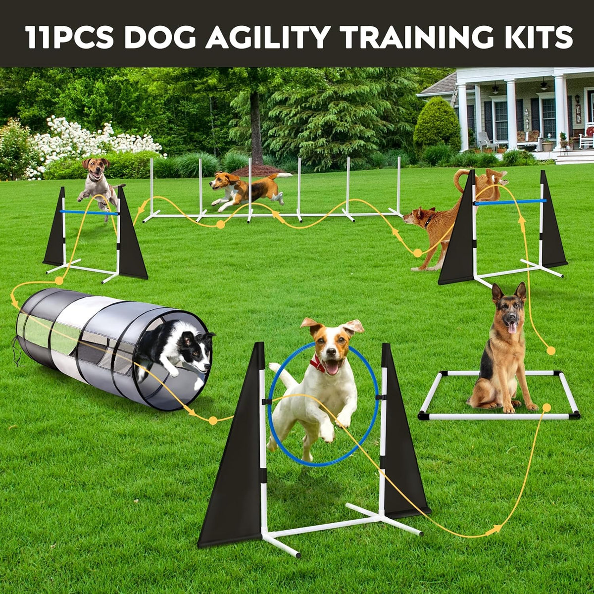 Dog Agility Training Equipment,Course Backyard Set Training Equipment for Dogs Pet Outdoor Game
