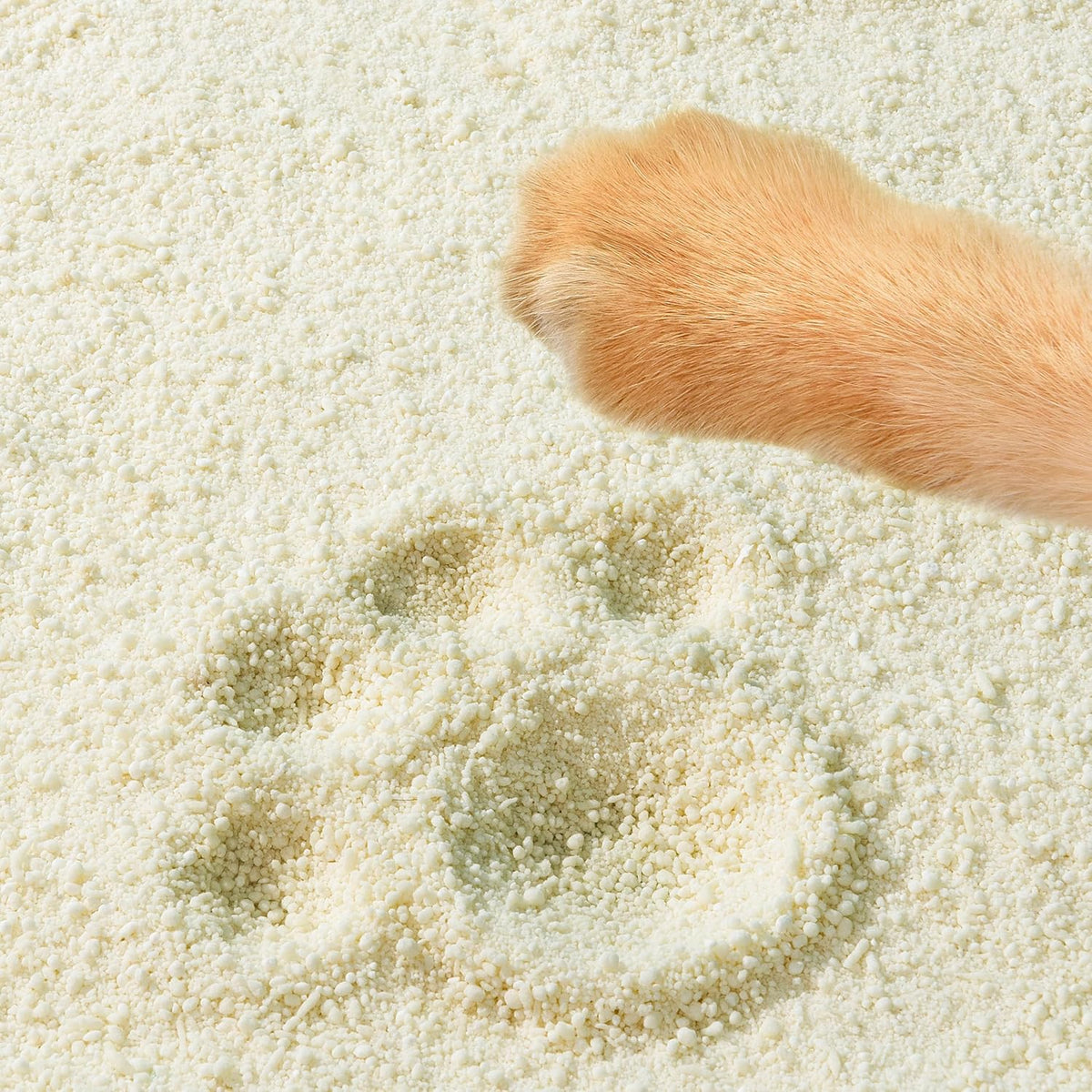 Tofu Cat Litter Natural Clumping Tofu Cat Litter 5.5lb/88oz 5 Scents (Watermelon + Wonder Litter, 2