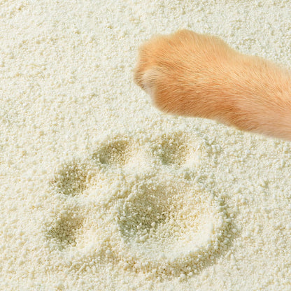 Tofu Cat Litter Natural Clumping Tofu Cat Litter 5.5lb/88oz 5 Scents (Watermelon + Wonder Litter, 2