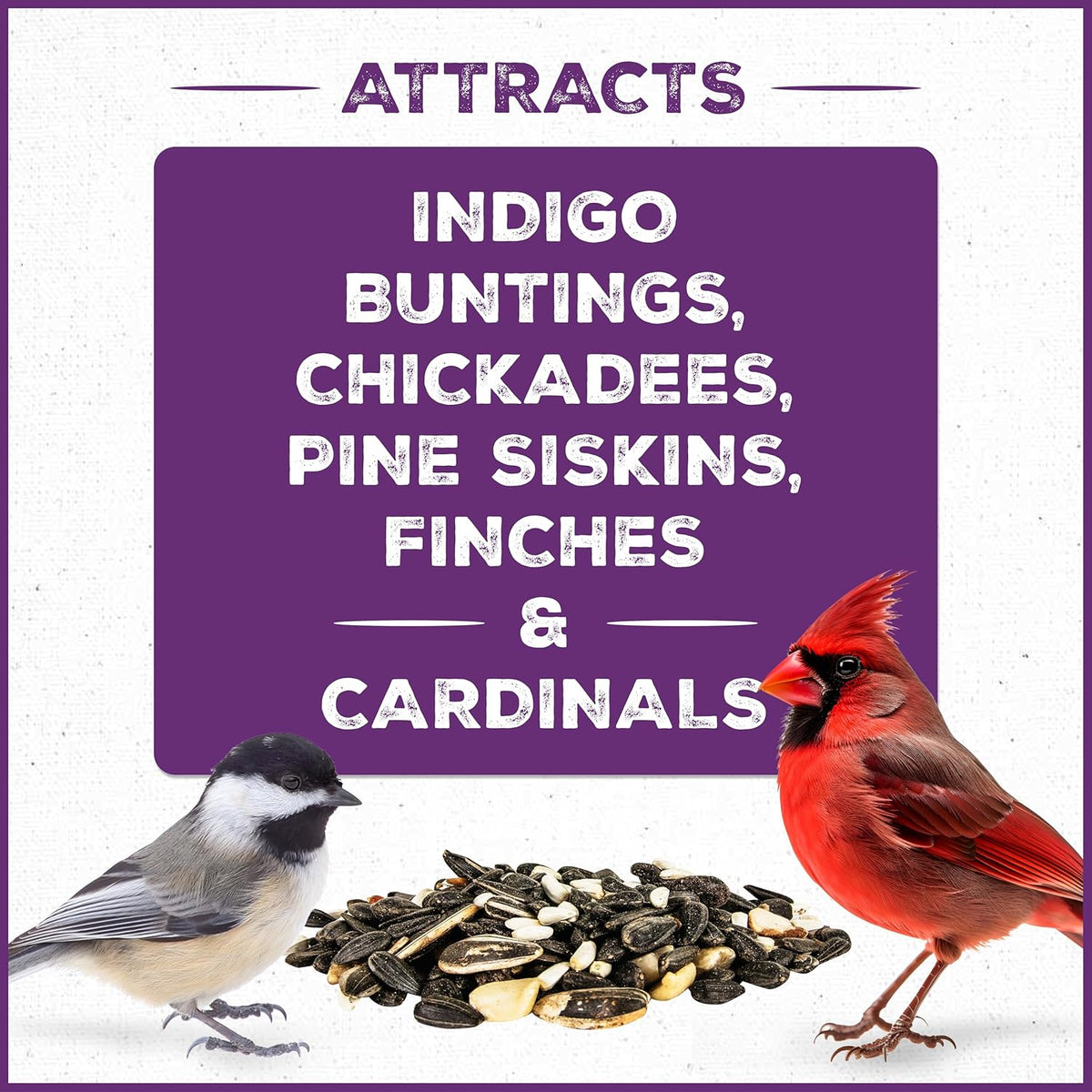 Pennington Pride Songbird Nut & Fruit Blend, Wild Bird Seed for Outside Feeders, Advanced Nutrition