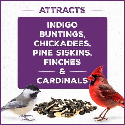 Pennington Pride Songbird Nut & Fruit Blend, Wild Bird Seed for Outside Feeders, Advanced Nutrition
