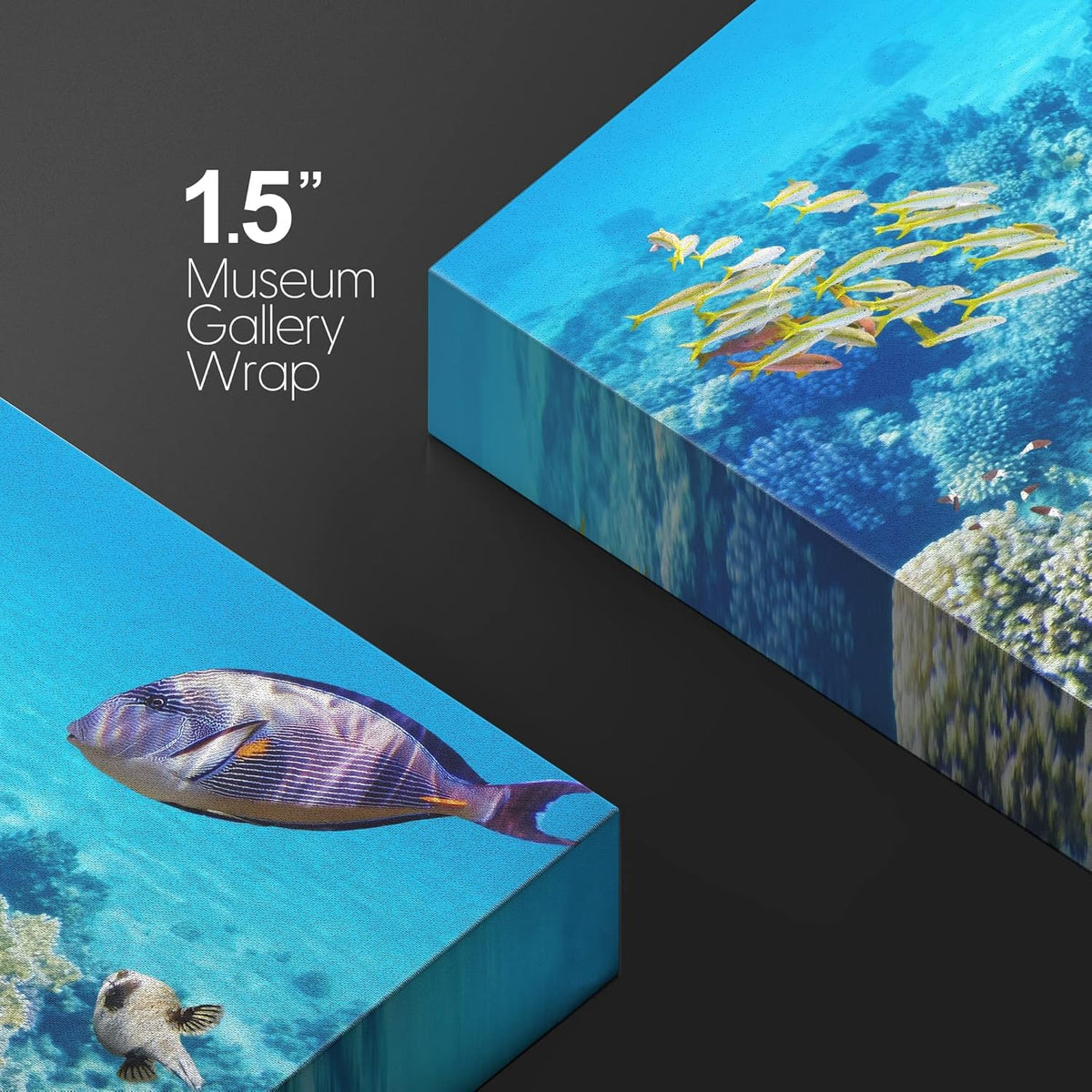 wall26 Canvas Print Wall Art Vibrant Teal Underwater Fish Coral Reef Nature Animals Photography