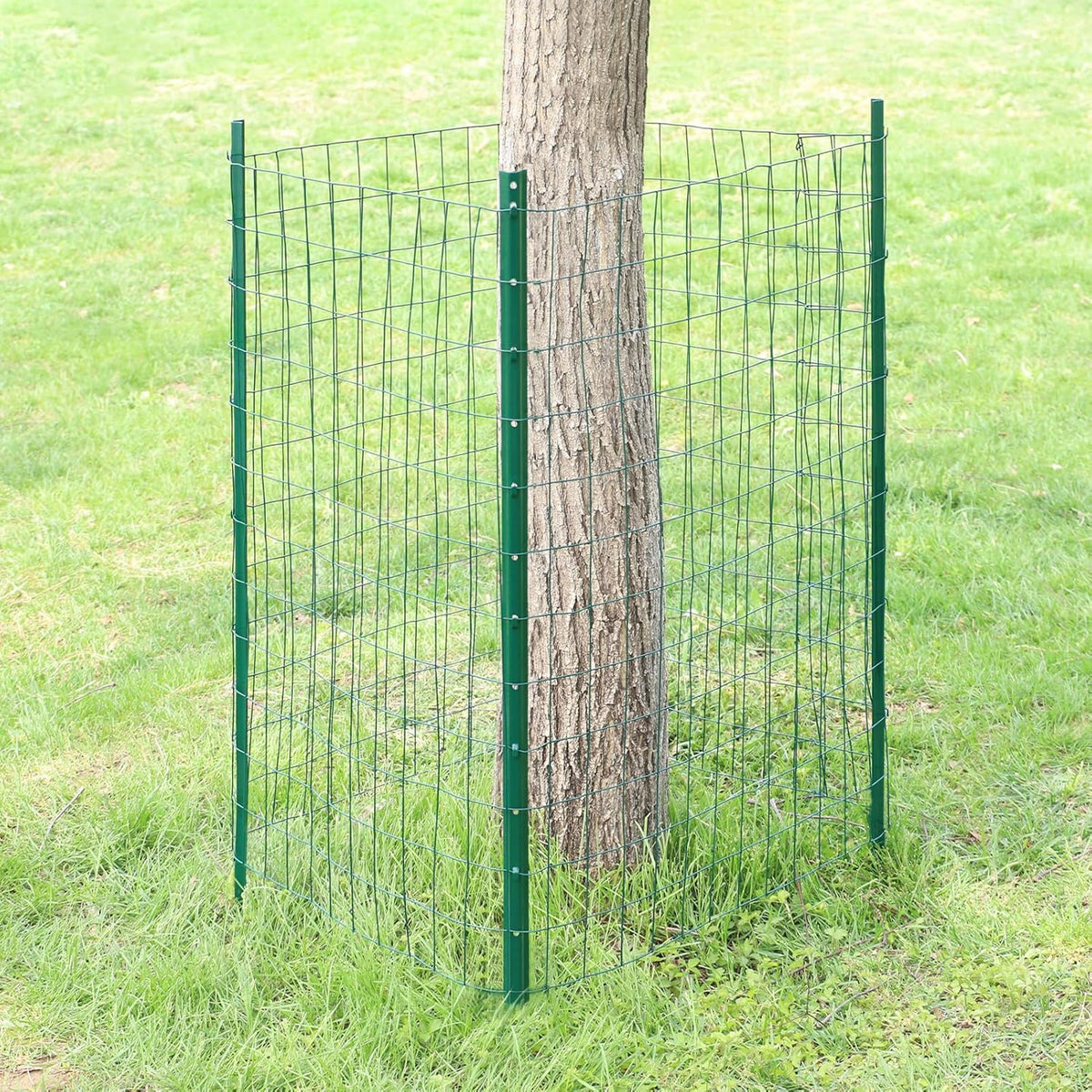 Green PVC Coated Welded Wire Fence 36 Inch x 25 Foot, 2 Inch x 3 Inch 16GA, Garden Border Fencing