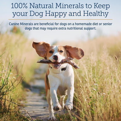 Rx Vitamins Canine Minerals - Essential Minerals for Dogs - Calcium, Magnesium, Iron Supplement