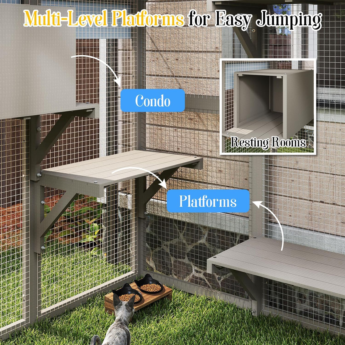 Cat Catio Outdoor Enclosure for Multiple Cats, Large Wooden Walk-in Cat House with Window