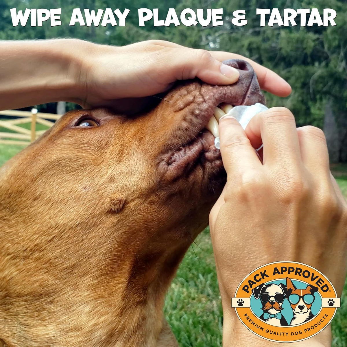 Dental Wipes for Dogs - Dog Teeth Wipes for Oral Care, Tartar and Plaque Remover - Cleans and