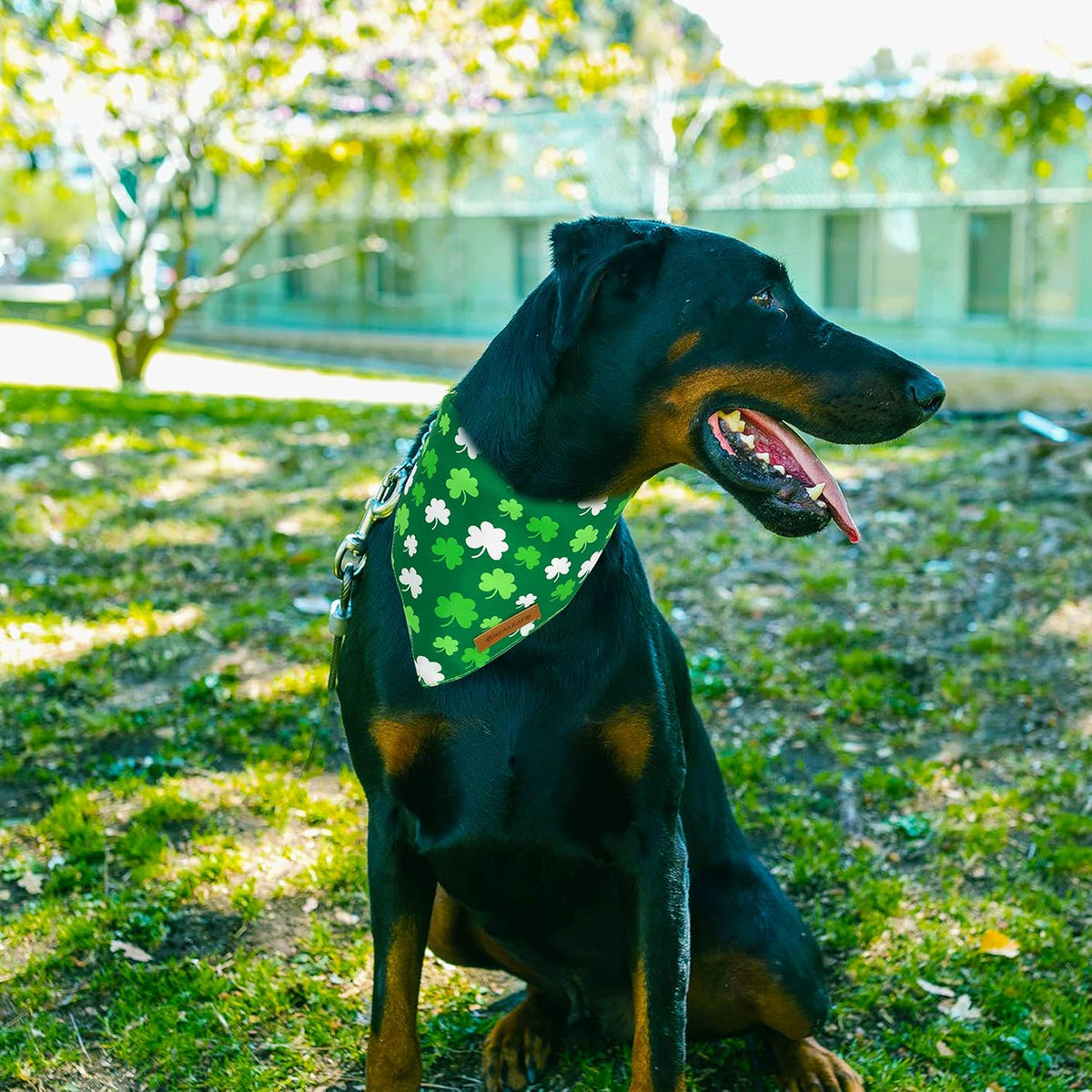 Realeaf St. Patrick's Day Dog Bandanas 2 Pack, Triangle Reversible Pet Scarf for Boys and Girls