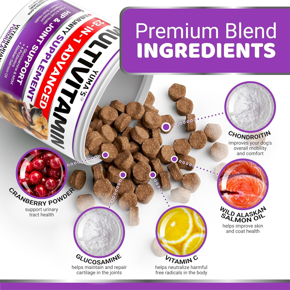 Dog Multivitamin Chewable with Glucosamine - Dog Vitamins and Supplements - 170 Treats - Senior &