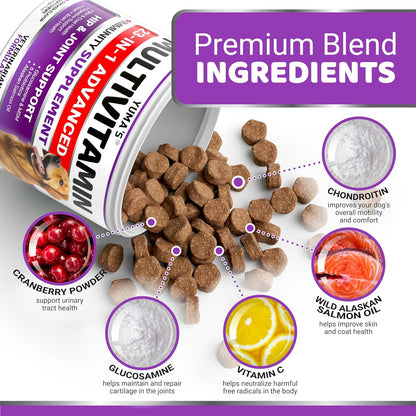 Dog Multivitamin Chewable with Glucosamine - Dog Vitamins and Supplements - 170 Treats - Senior &