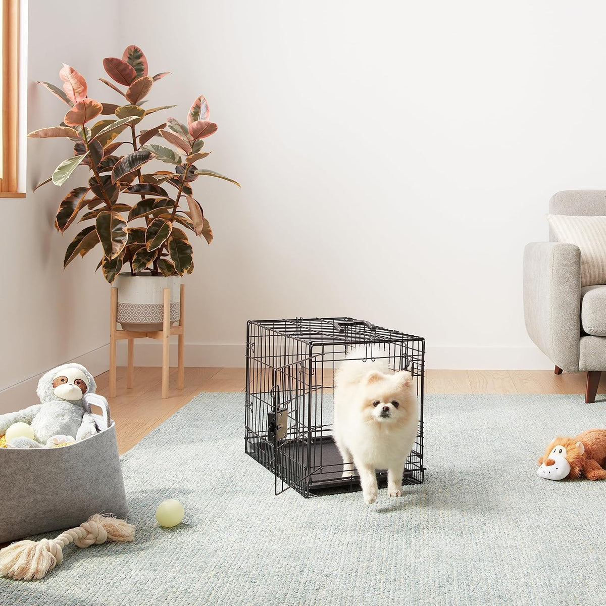 Amazon Basics Durable,Foldable Metal Wire Dog Crate with Tray, Double Door, Divider, 22 x 13 x 16