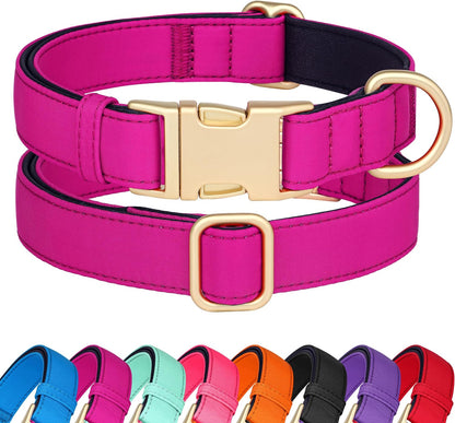 Didog Soft Padded Dog Collars for Small Dogs, Colorful and Durable Dog Collar with Quick Release