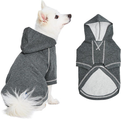 Blueberry Pet Essentials Dog Hoodie – 10 inch, Cotton‑Blend Sweatshirt with Hood, Charcoal Grey