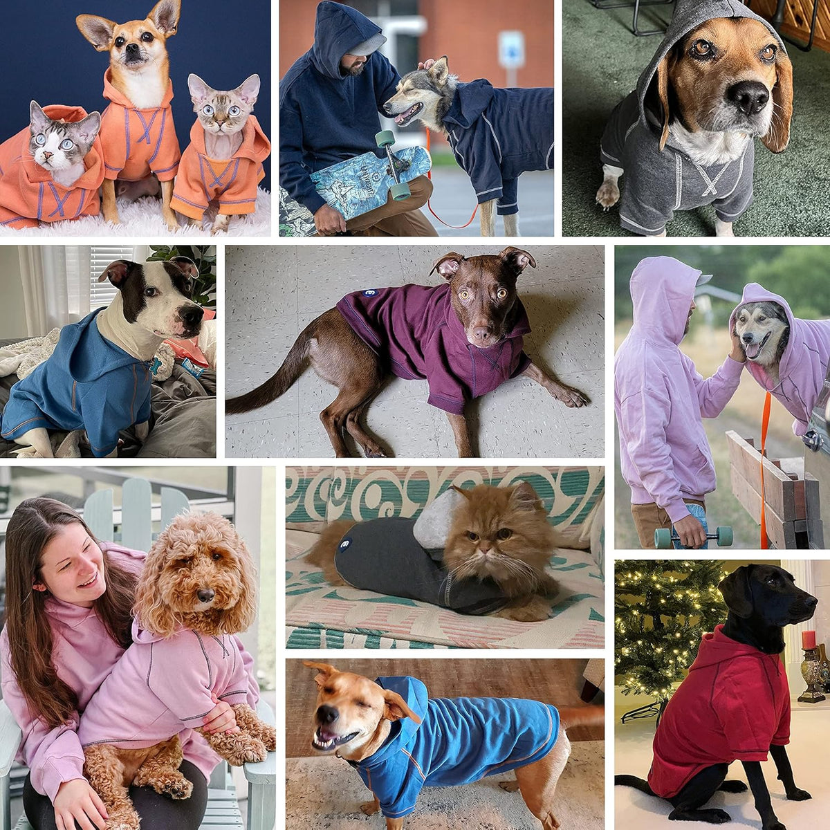 Blueberry Pet Essentials Soft & Comfy Better Basic Cotton Blend Dog Hoodie Sweatshirt in Red, Back