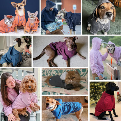 Blueberry Pet Essentials Hoodie – 14″ Soft French Terry Sweatshirt with Hood, Coral Pink