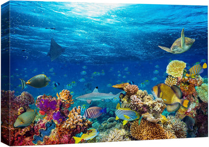 wall26 Canvas Print Wall Art Vibrant Sunshine Ray Coral Reef Turtle Fish Nature Animals Photography