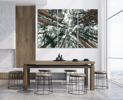 Nature Wall Art Prints - Ocean Forest Mountain Lake Canvas Landscapes - Small to Extra Large Living