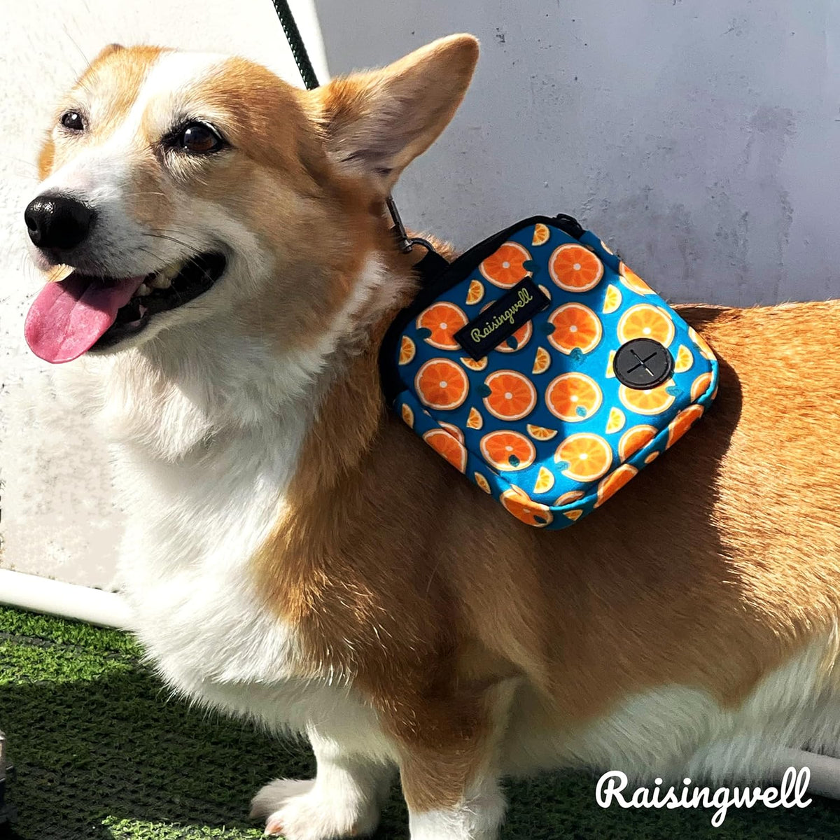 Dog Treat Pouch for Pet Walking and Training with Clicker Poop Bags Small Fanny Zipper Pack Holder