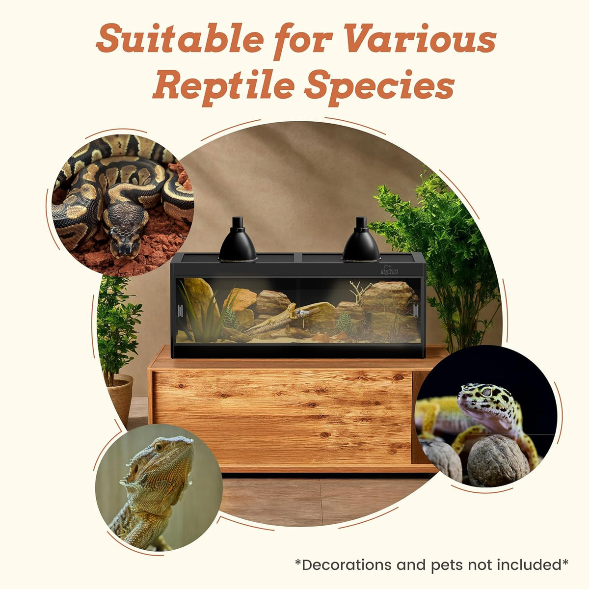 65 Gallon PVC Reptile Enclosure, RepWild 48"x18"x18" Terrarium/Tank with Heavy-Duty Screen Top