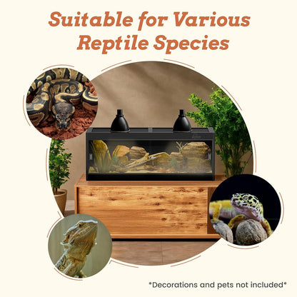 65 Gallon PVC Reptile Enclosure, RepWild 48"x18"x18" Terrarium/Tank with Heavy-Duty Screen Top