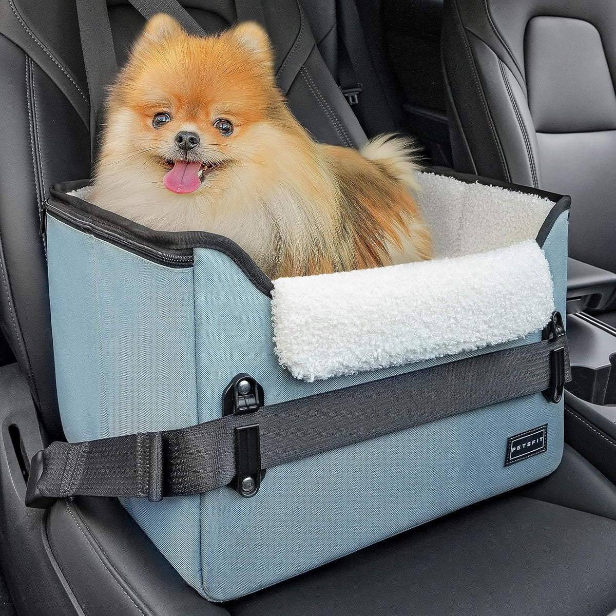 PETSFIT Dog Car Seats for Small Dogs, Patent Safe Buckles Dog Booster Car Seat, Pet Car Seat with