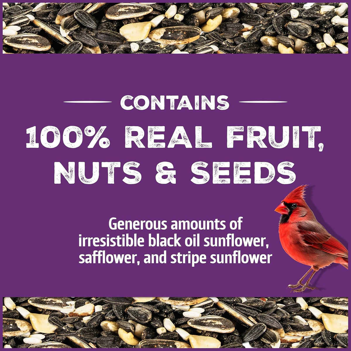 Pennington Pride Songbird Nut & Fruit Blend, Wild Bird Seed for Outside Feeders, Advanced Nutrition