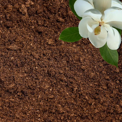 Peat Moss for Plants – Organic Sphagnum Peat Moss for Orchids, Terrariums, Seed Starting, Reptiles