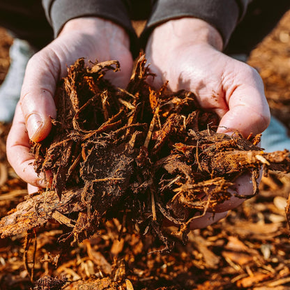 Premium Gold Wood Mulch for Landscaping, Gardens, Lawns, Potting Media, and Potted Plants (0.7 CF