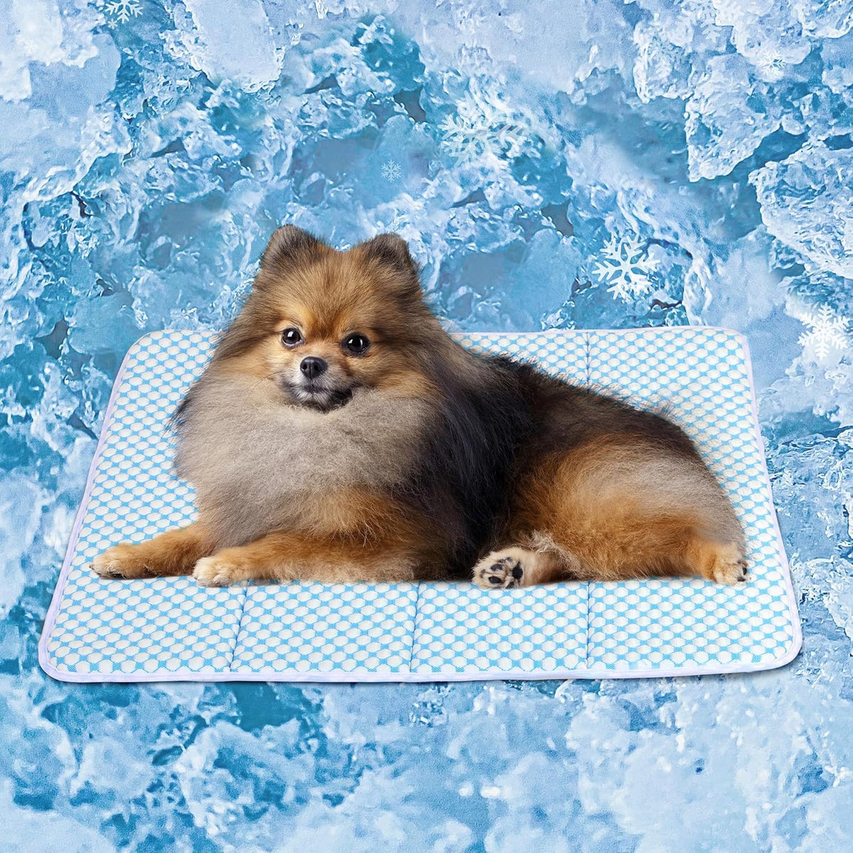 Dog Cooling Mat for Small Dogs - 24x18 Orthopedic Memory Foam Pet Pad for Summer, QMAX>0.5