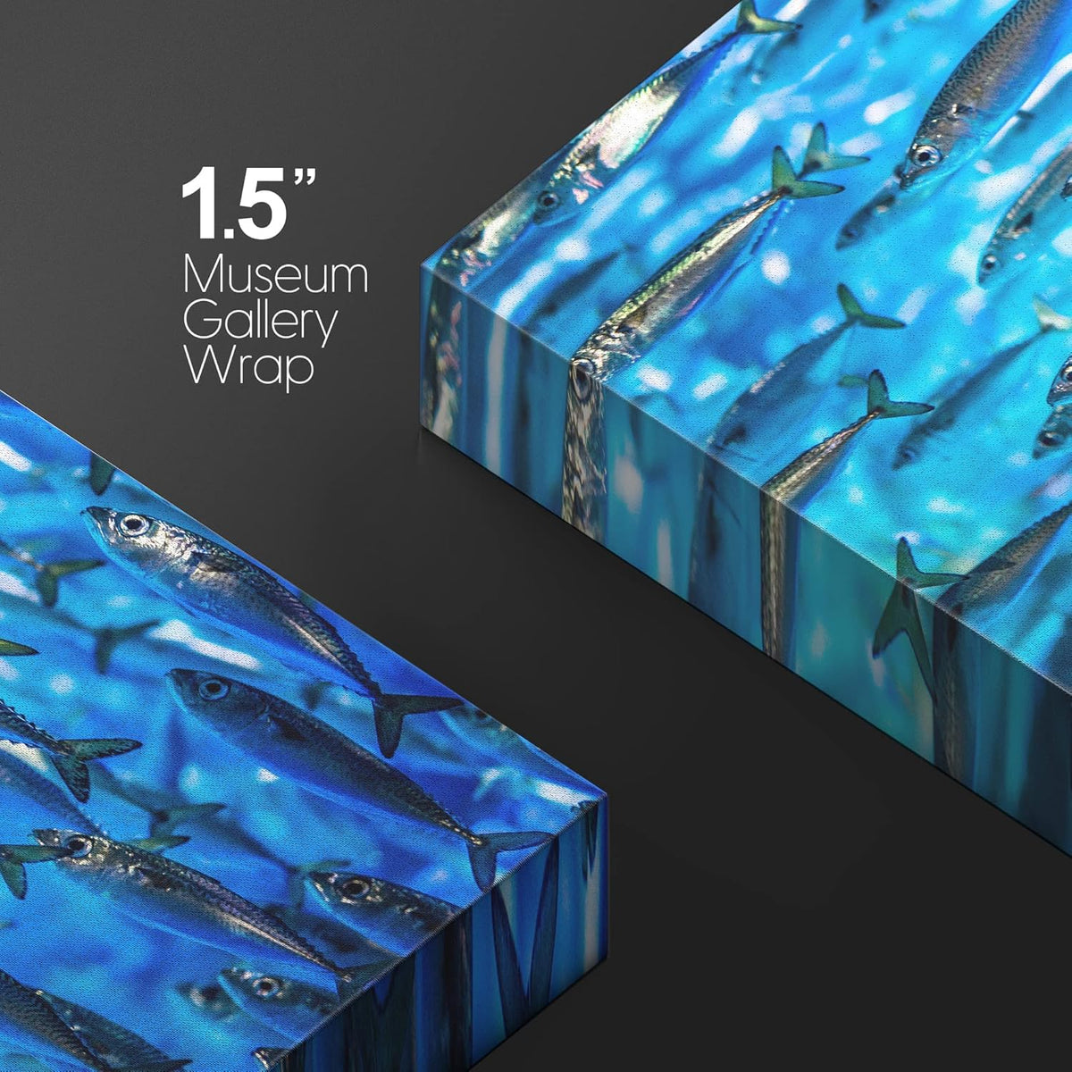 wall26 Canvas Print Wall Art Close Up Sardine School of Fish Underwater Nature Animals Photography