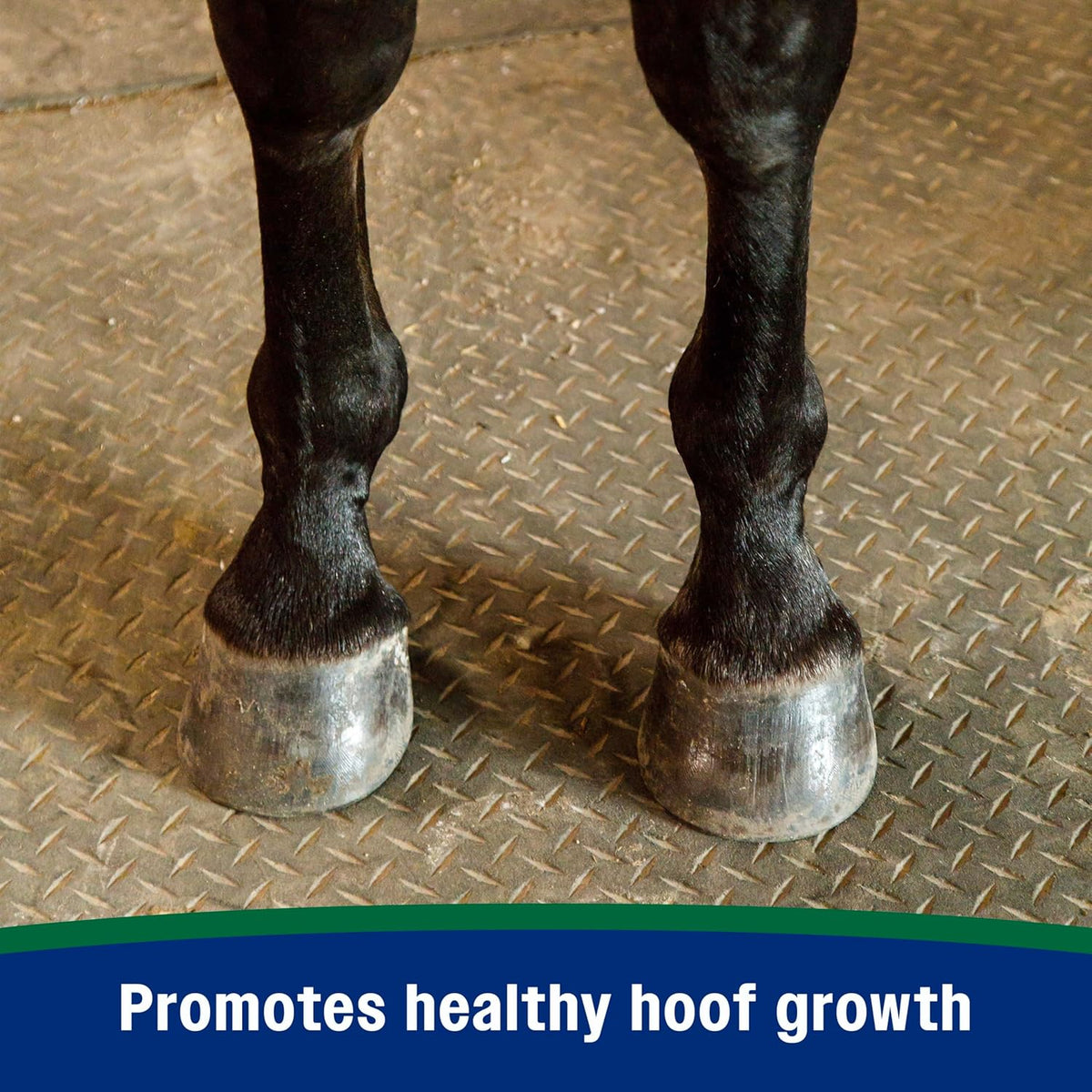 Farnam Horseshoer's Secret Pelleted Hoof Supplement for horses promotes healthy hoof growth, 11lb.