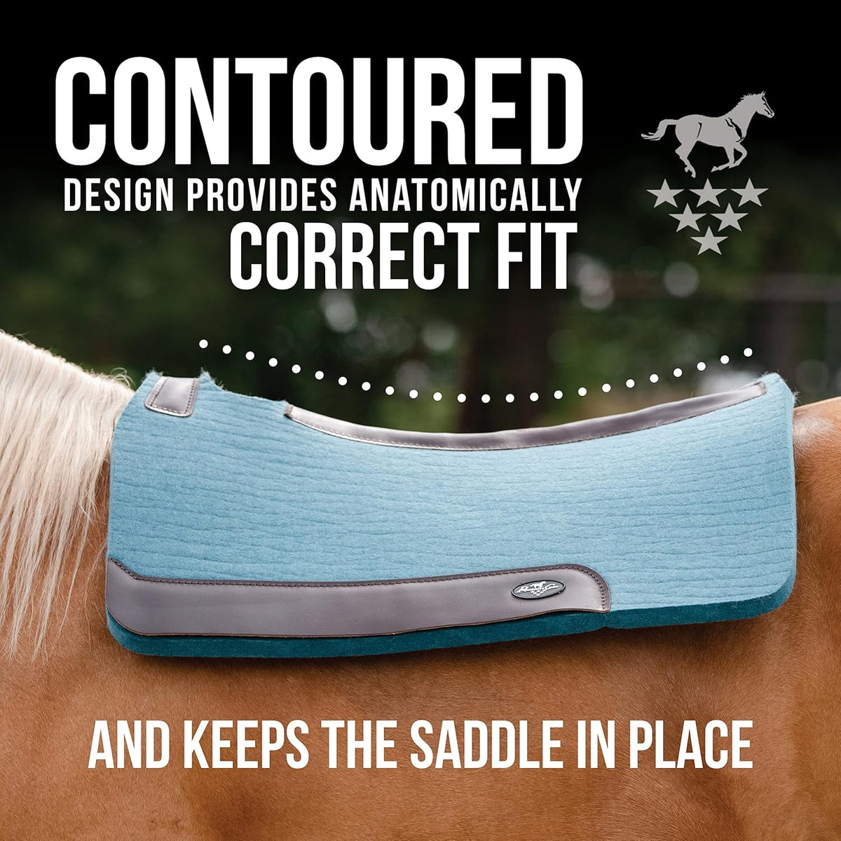 Professional's Choice 100% Steam-Pressed Wool Felt Saddle pad