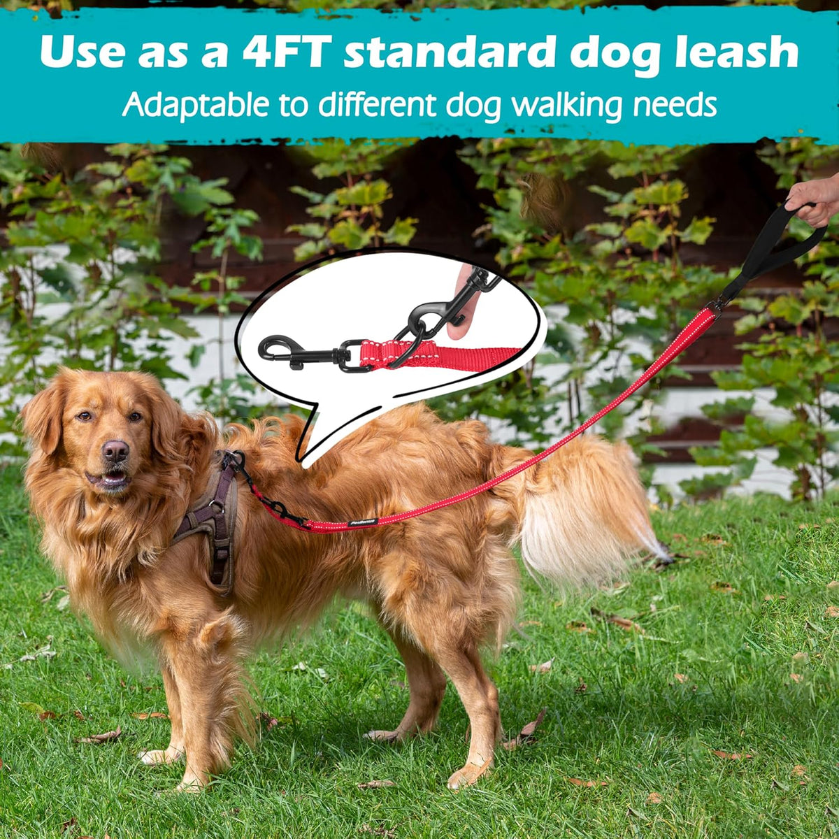 PetBonus Two Point Control Dog Leash, Works with No Pull Harnesses, No Tangle Dog Training Leashes
