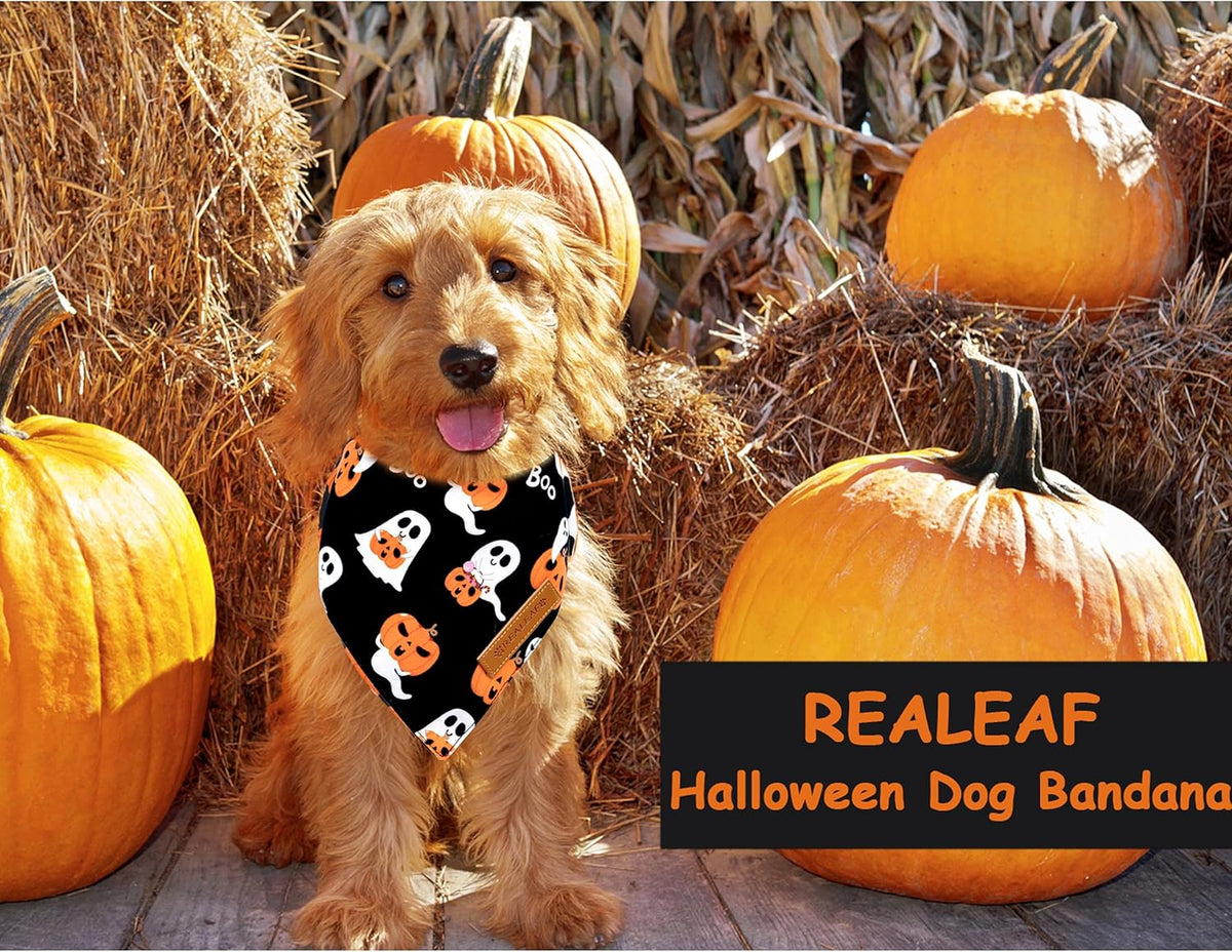 Realeaf Halloween Dog Bandanas 2 Pack, Reversible Orange Pumpkin Pet Scarf for Boy and Girl