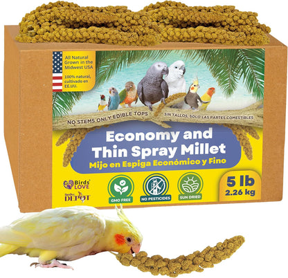 Birds LOVE Economy & Thin Special Spray Millet – 5 lb GMO-Free, No Stems (Only Edible Tops)