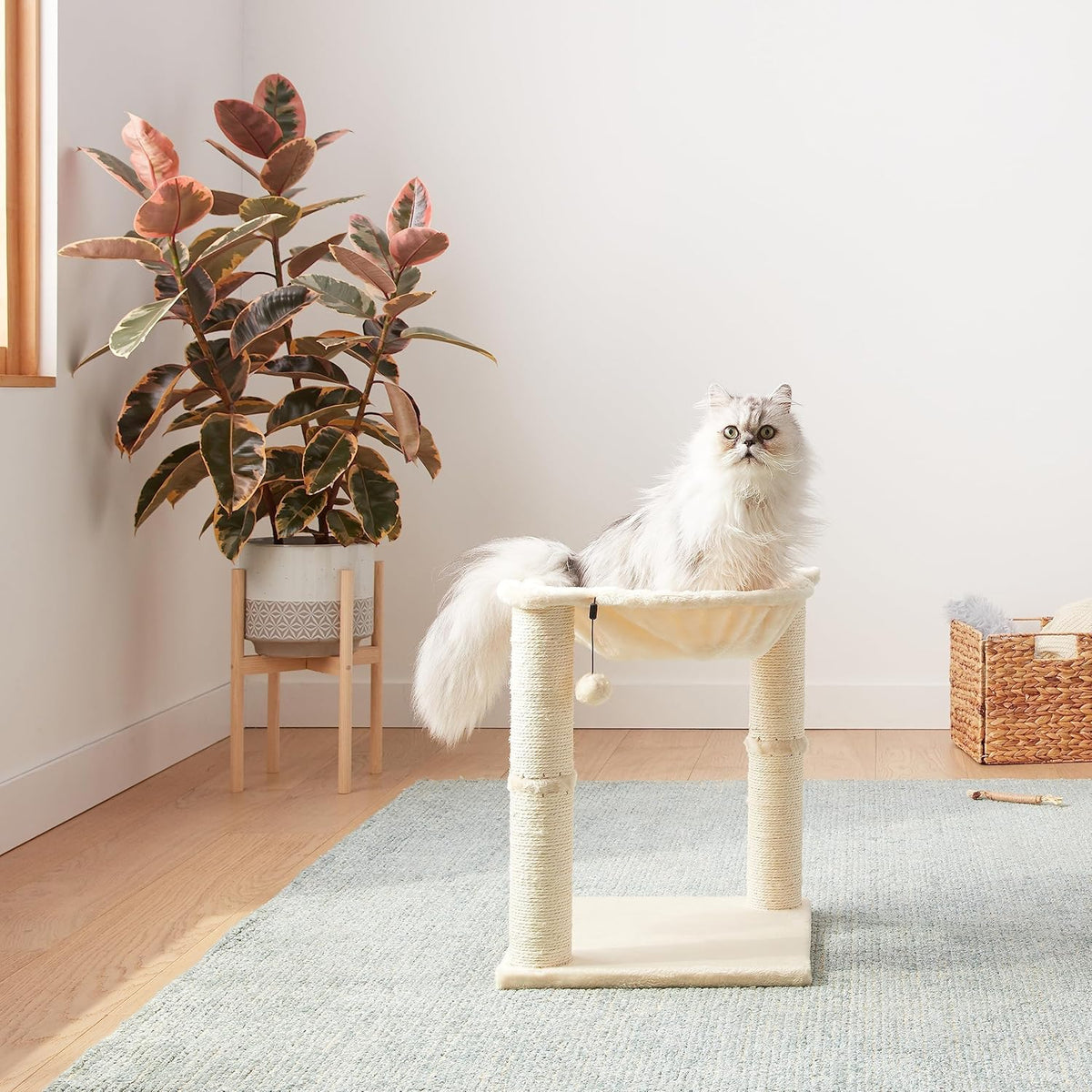 Amazon Basics Cat Condo Tower with Hammock Bed and Scratching Post,Easy to Assemble,Plush