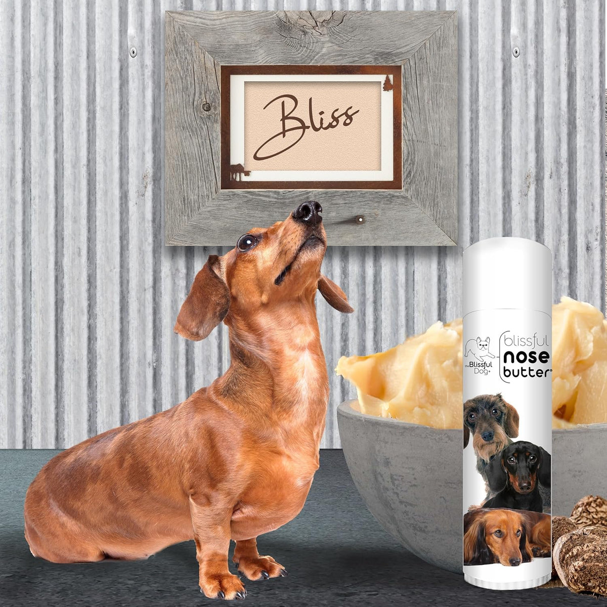 The Blissful Dog Daschund Nose Butter for Dry, Cracked Skin, Lick-Safe Dog Nose Balm with