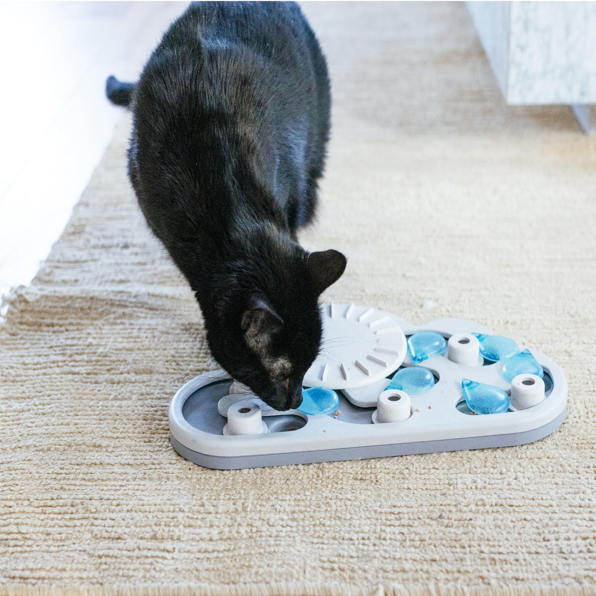 Catstages Nina Ottosson Rainy Day Puzzle & Play Cat. Chosen for real quality, fits naturally into