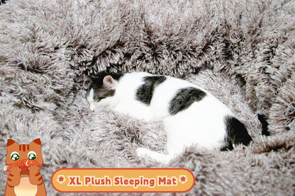 XxingSheep XL Cat Tunnel with Bed for Indoor Cats Peekaboo Cat Cave Donut Toy with Warm