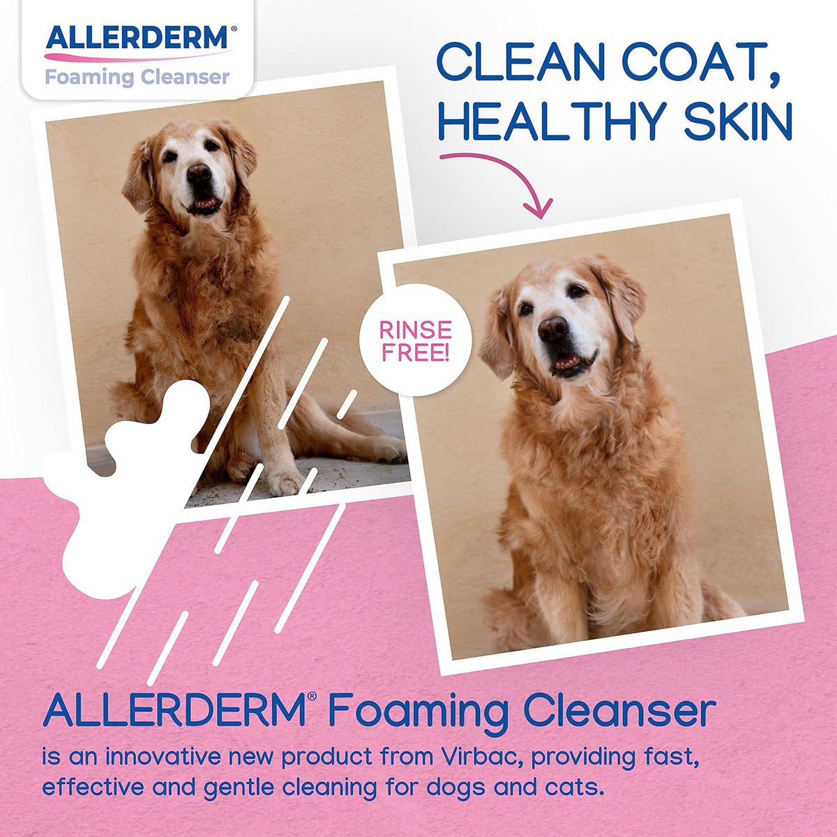ALLERDERM Foaming Cleanser- Rinse-Free Waterless Micellar Foam for Dogs and Cats with Sensitive