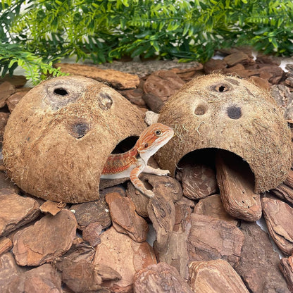 PINVNBY Natural Coconut Reptile Hideouts Lizard, Coco Hut Hermit Crab Hut Aquarium Fish Hide Cave