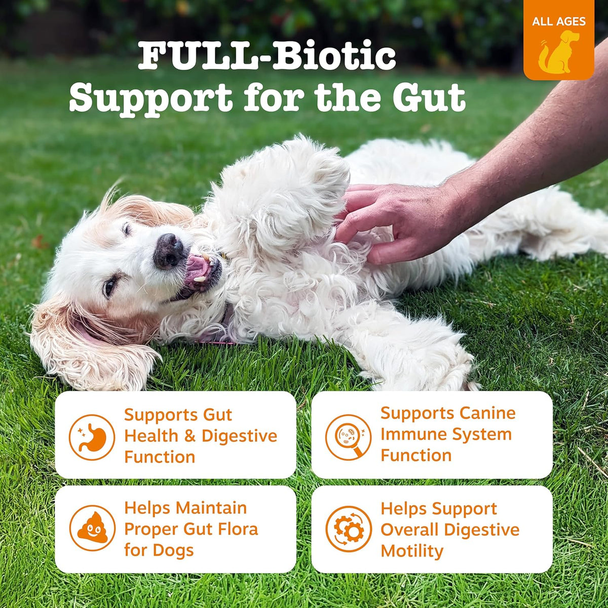 Zesty Paws Vet Strength Probiotics for Dogs, Digestive Health & Gut Flora Support, Dog Supplements