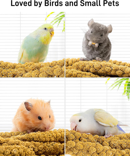 BUCATSTATE Spray Millet for Birds, Sun-Dried Healthy Millet Parakeet Treats for Parrots Cockatiel