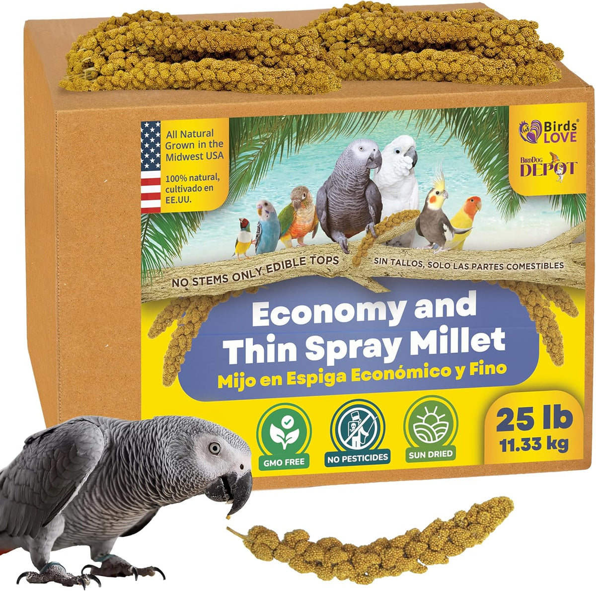 Birds LOVE Economy & Thin Special Spray Millet GMO-Free (No Stems Only Edible Tops) for Birds