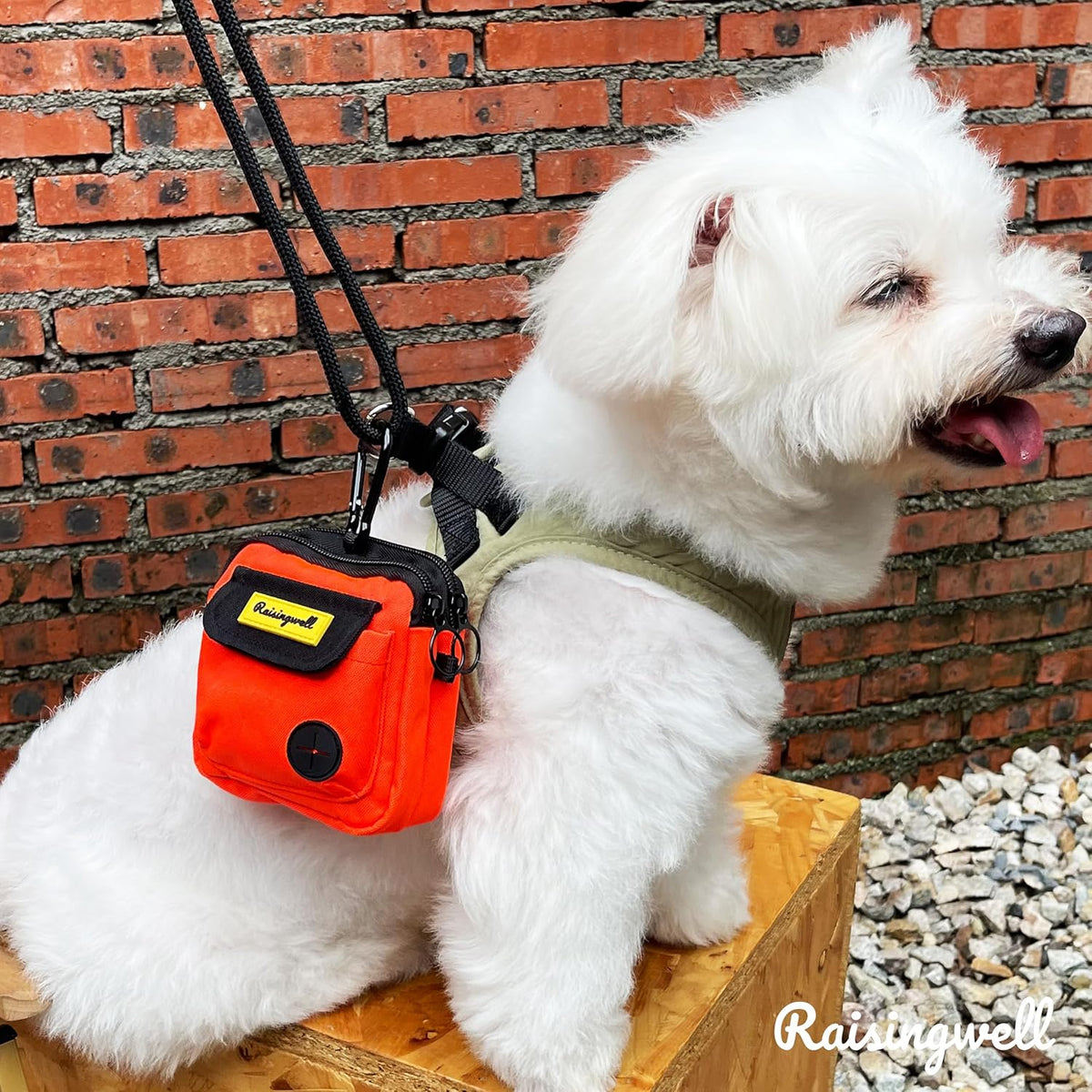 Dog Treat Pouch for Pet Walking and Training with Clicker Poop Bags, and Three Bags Design Small