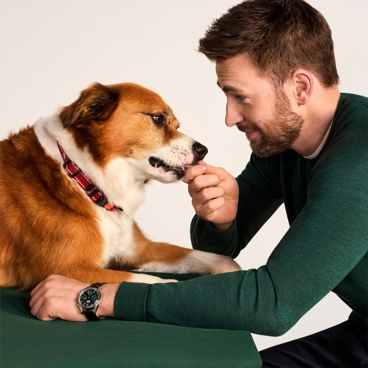 Jinx Chicken Dog Training Treats – Healthy All-Natural Mini Bite-Sized Dog Treats for Training with