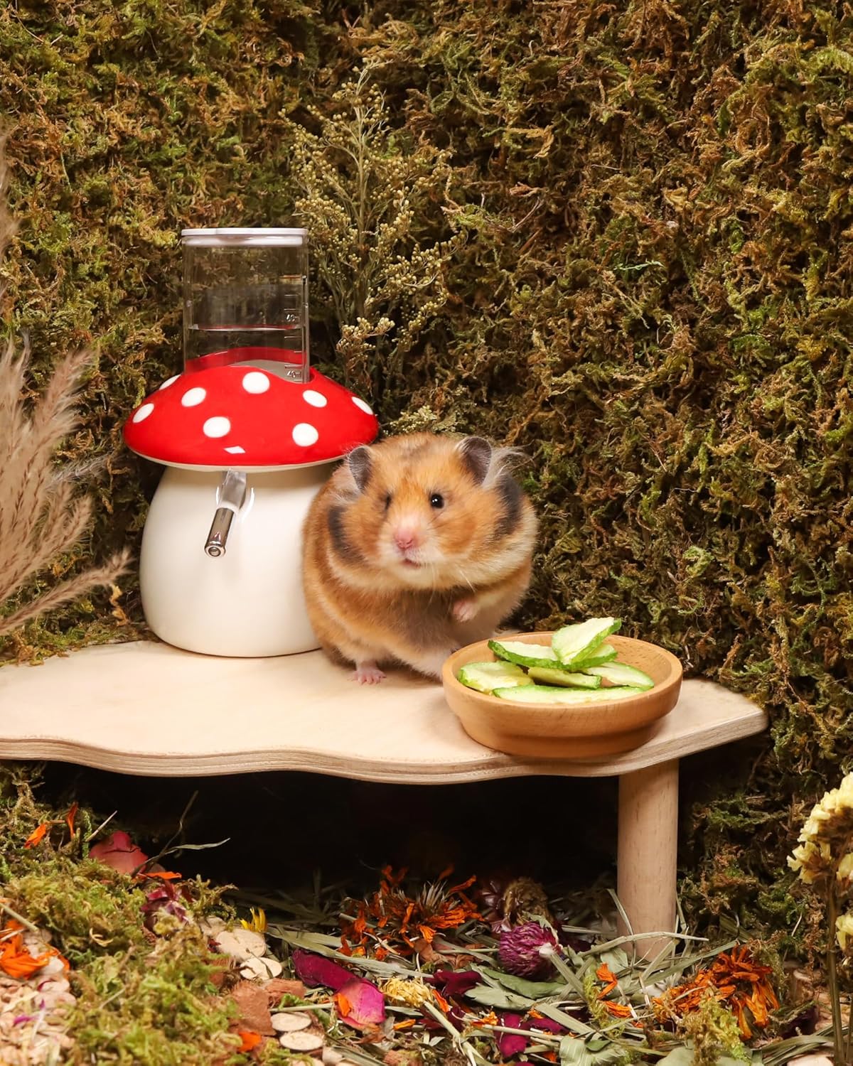 Niteangel Hamster Snack & Treats Toy - Small Animal Natural Treat for Dwarf Syrian Robo Hamsters